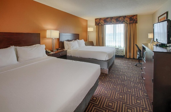 Holiday Inn Knoxville West - Cedar Bluff image 7